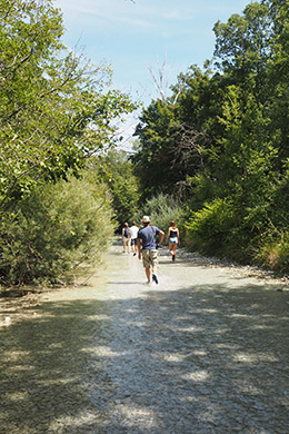 La vallée du Toulourenc
