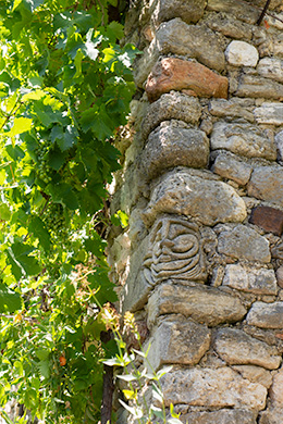 Le temps des cerises